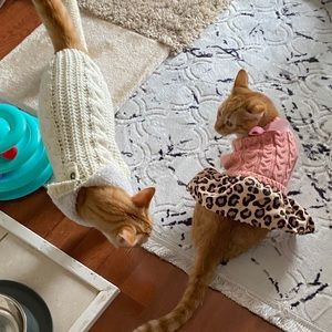 Meet your Posher, Nusreta